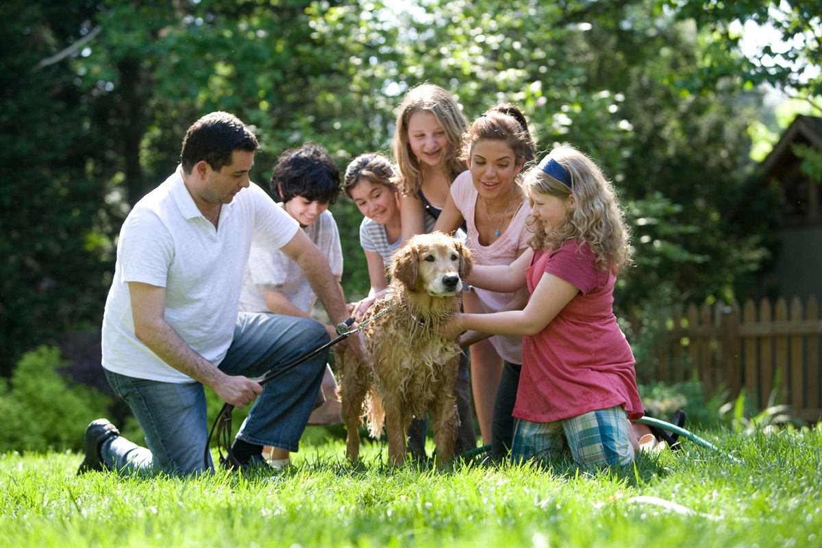 A family with children gathered around their dog in the garden